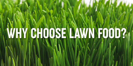 We Love Purely Organic Products Lawn Food & We Think You Will Too!