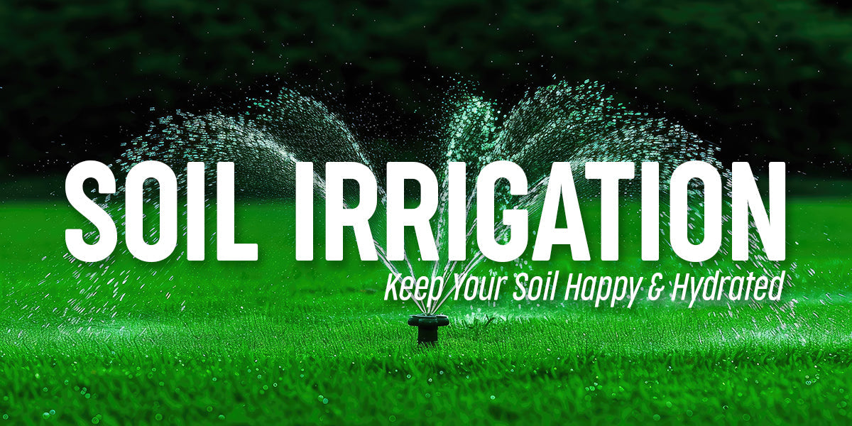 Water Wisely: Essential Tips for Soil Irrigation