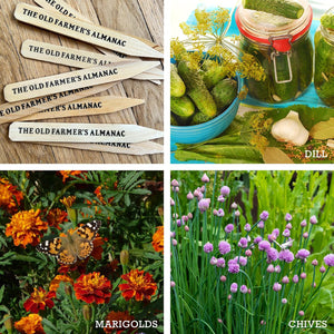 The Old Farmer's Almanac Heirloom Herb Garden Starter Kit with Wooden Plant Markers (6 Seed Packets - Over 3000 Seeds)