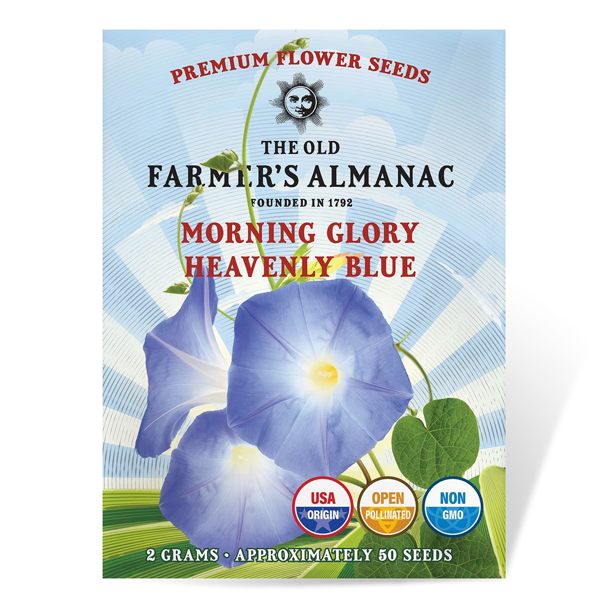 eat morning glory seeds The Old Farmer's Almanac Heavenly Blue Morning Glory Seeds – SimplyGro