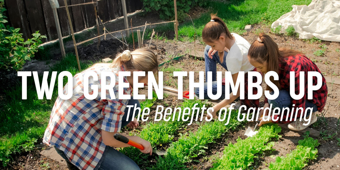 The Benefits of Growing Your Own Garden