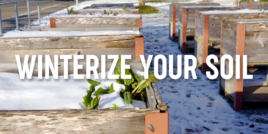 Winter Garden Prep: How to Protect Your Soil for Spring Success
