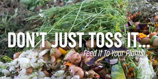 Turn Kitchen Scraps into Garden Gold!