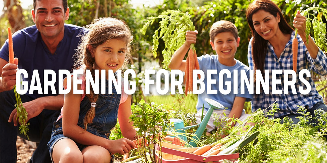 Gardening for Beginners
