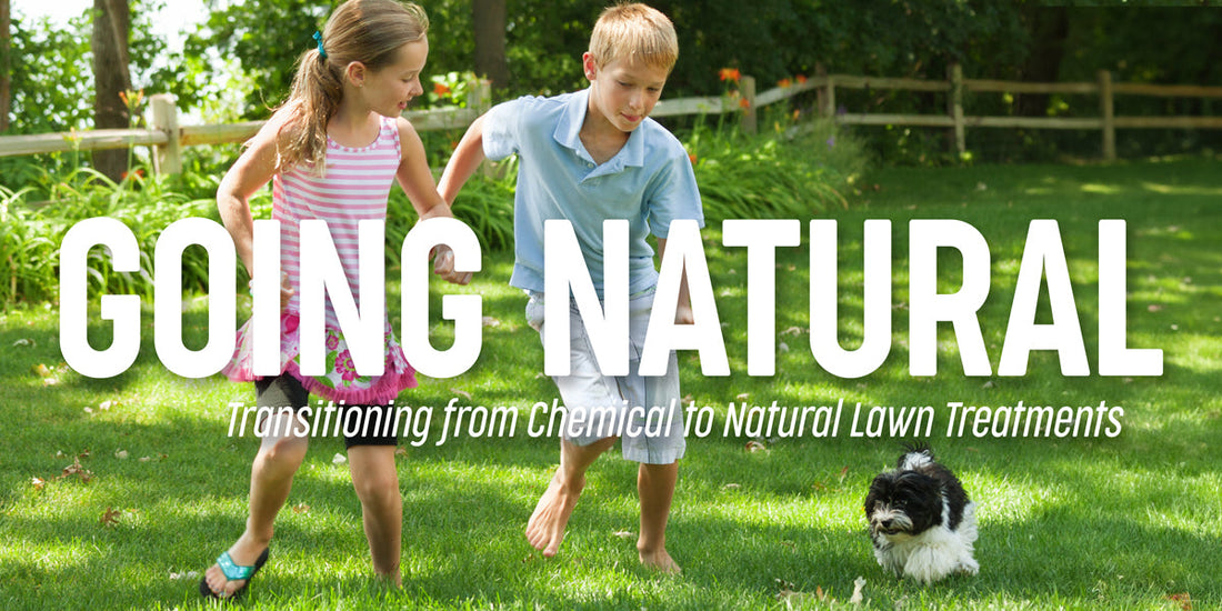 Going Natural: Transitioning Chemical to Natural Lawn Treatments