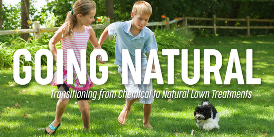 Going Natural: Transitioning Chemical to Natural Lawn Treatments