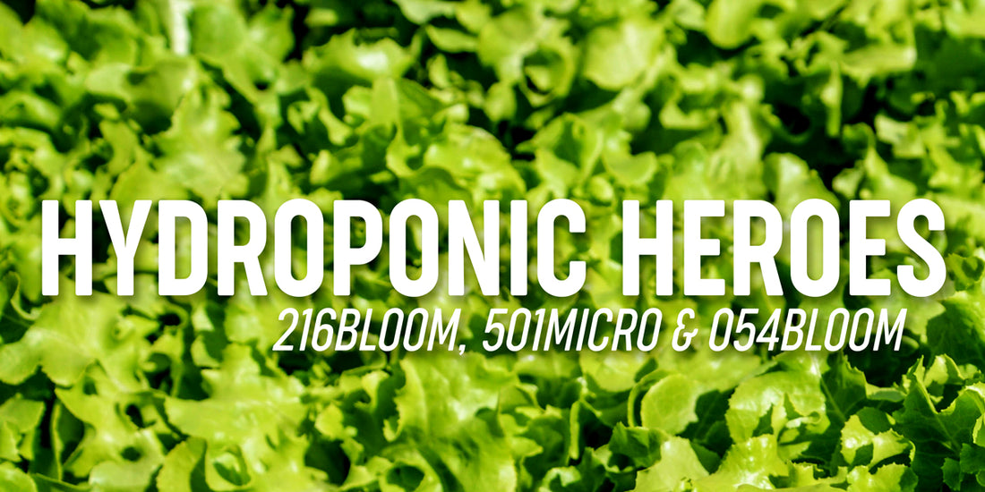Thriving Plants, Thriving Harvest: The Power of a 3-Part Hydroponic Fertilizer System