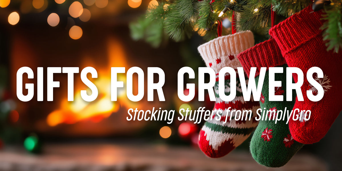 Holiday Stocking Stuffers for the Garden Lover in Your Life