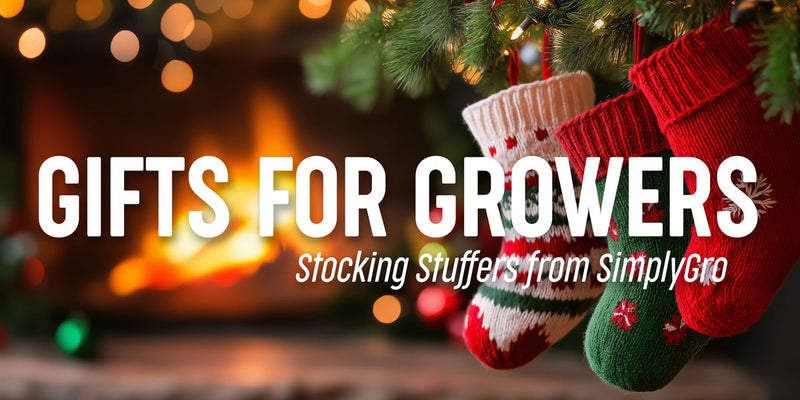 Holiday Stocking Stuffers for the Garden Lover in Your Life