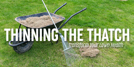 How Thinning The Thatch Can Transform Your Lawn Health
