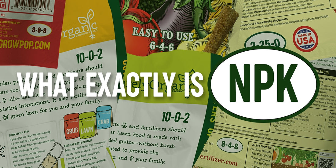 Garden ABCs: Solving the NPK Mystery