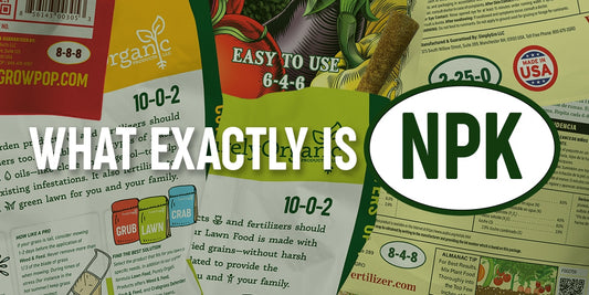 Garden ABCs: Solving the NPK Mystery