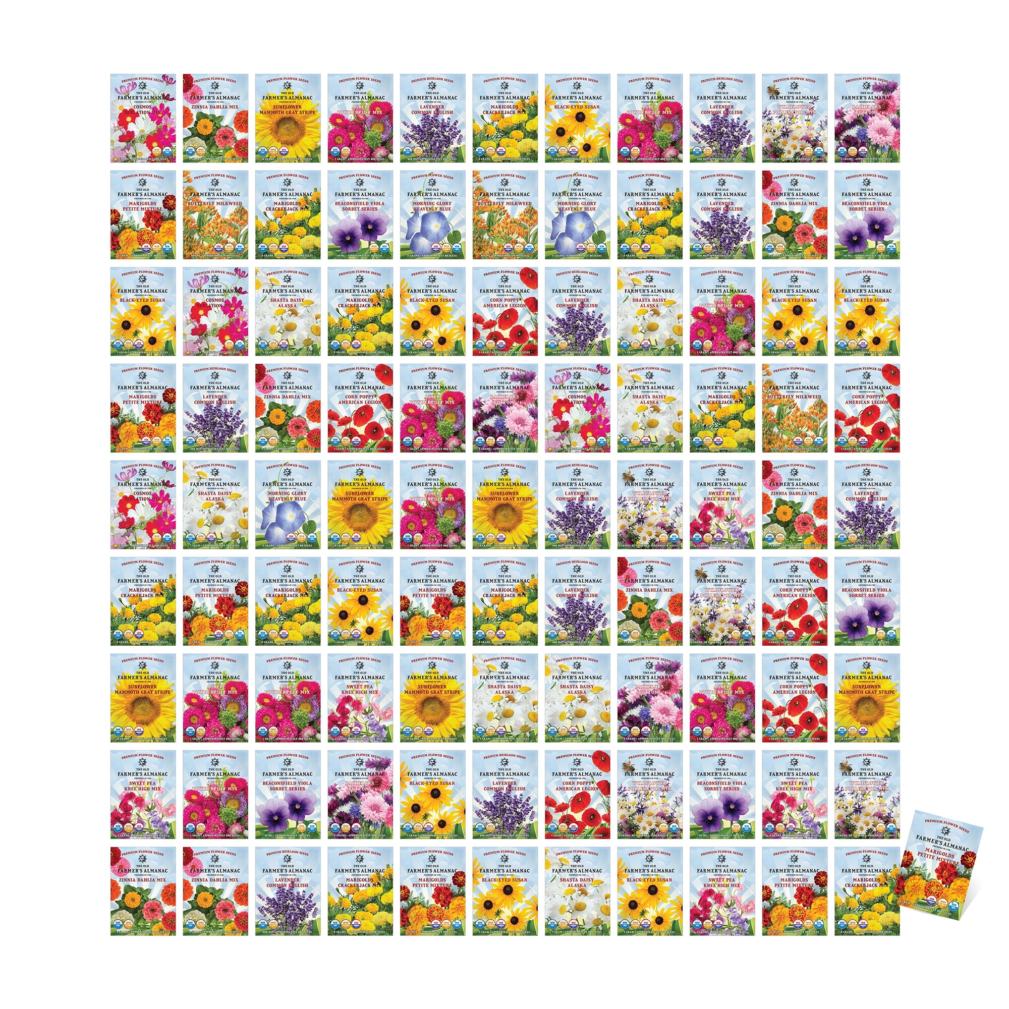 Grid of 100 various flower seed packets on a white background