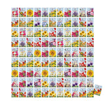Last Year's Flower Seeds at Great Discount Prices - All Gone Until 2026!