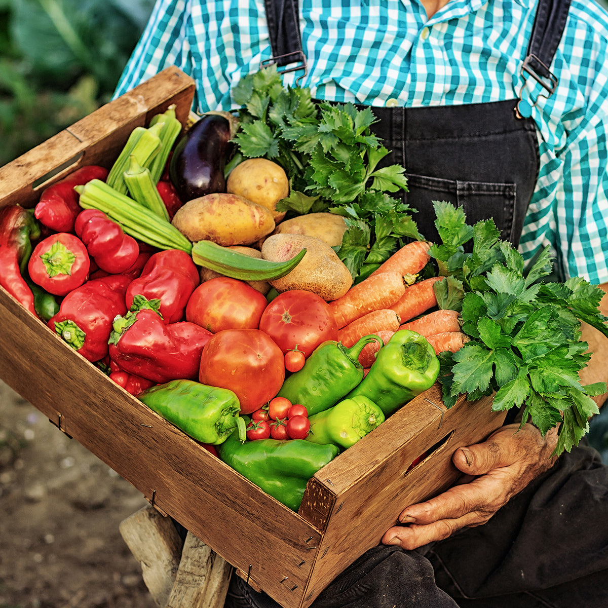 Farmer holding a wooden crate of vegetables 