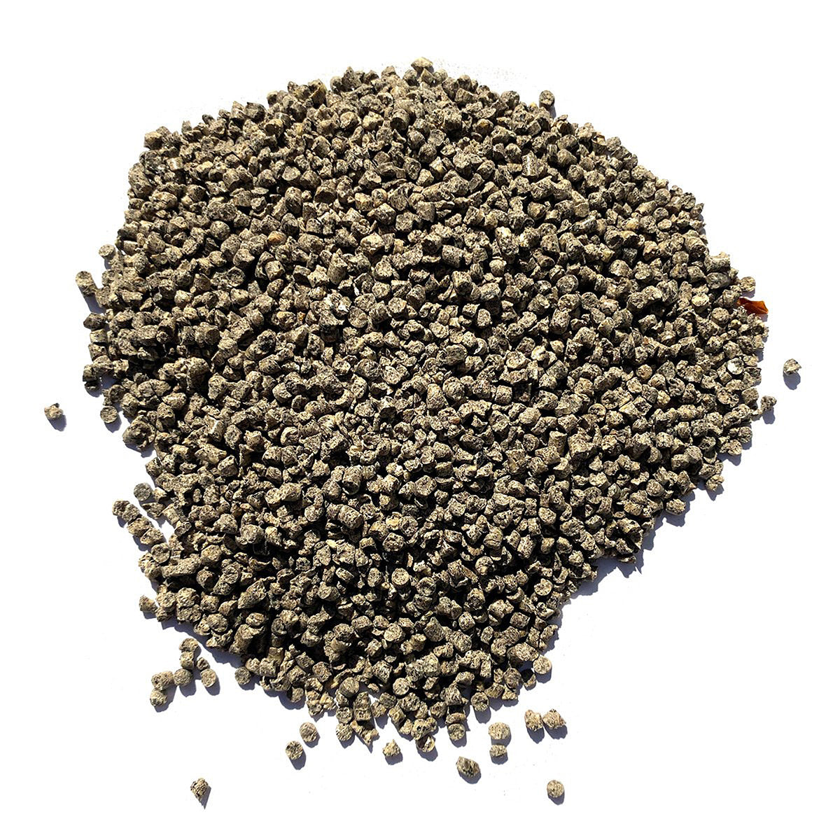 A close view of seeds on a white background 
