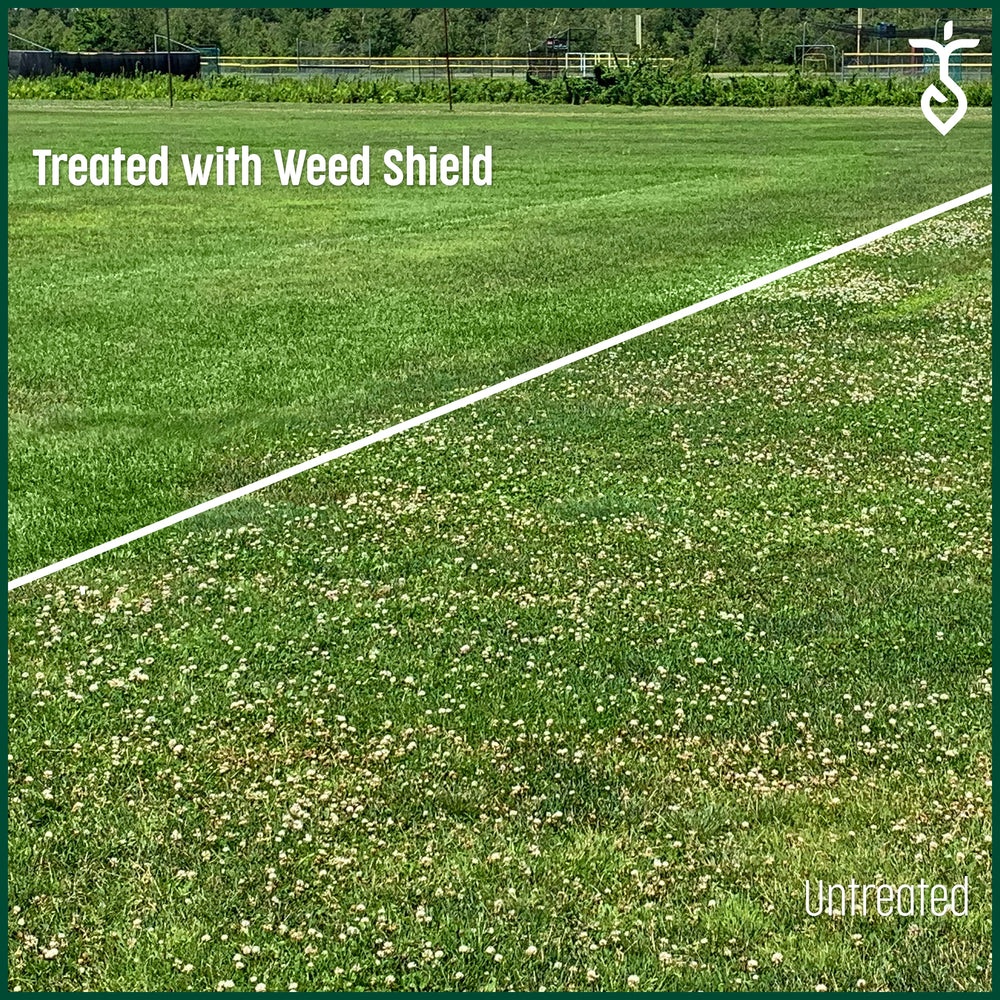 Pure Defense Weed Shield Concentrated Spray