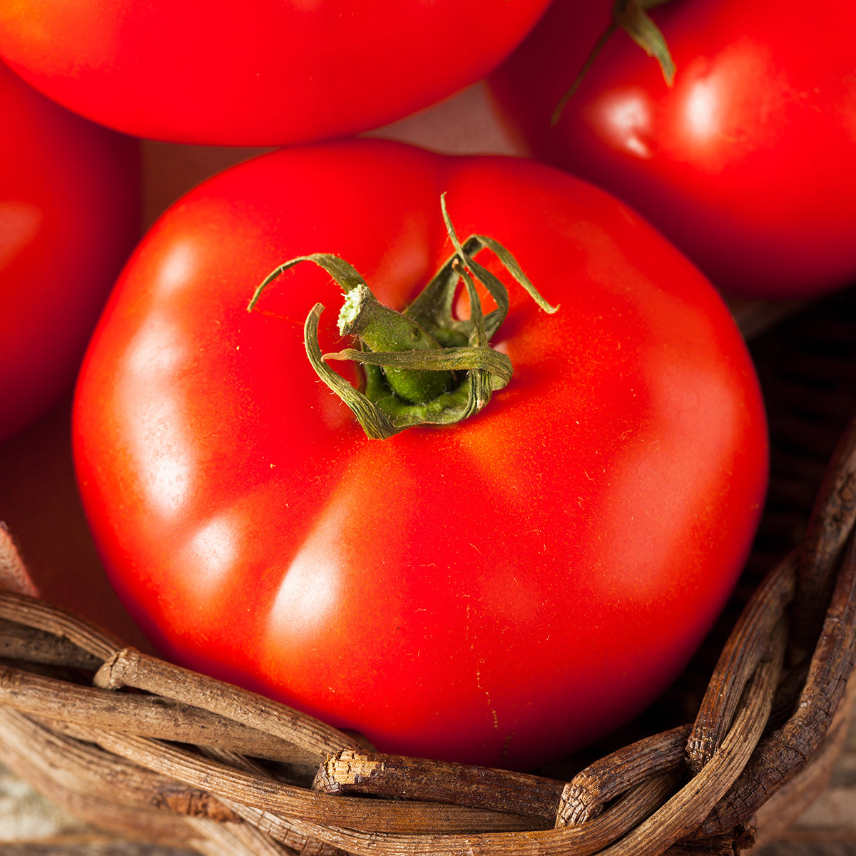Beefsteak Tomato 
