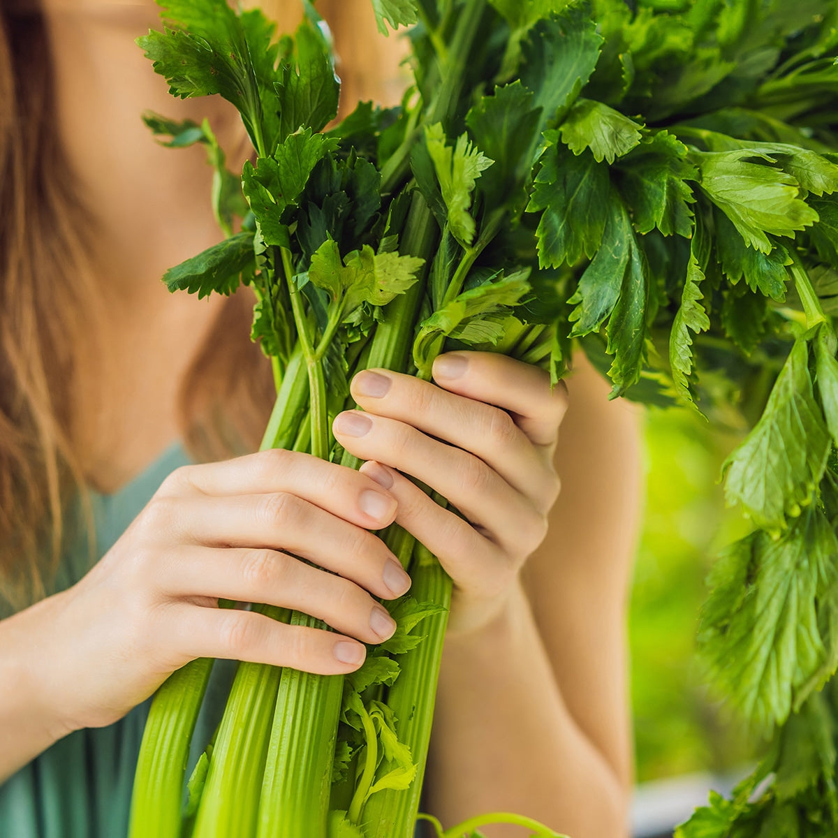 Hands holding celery 