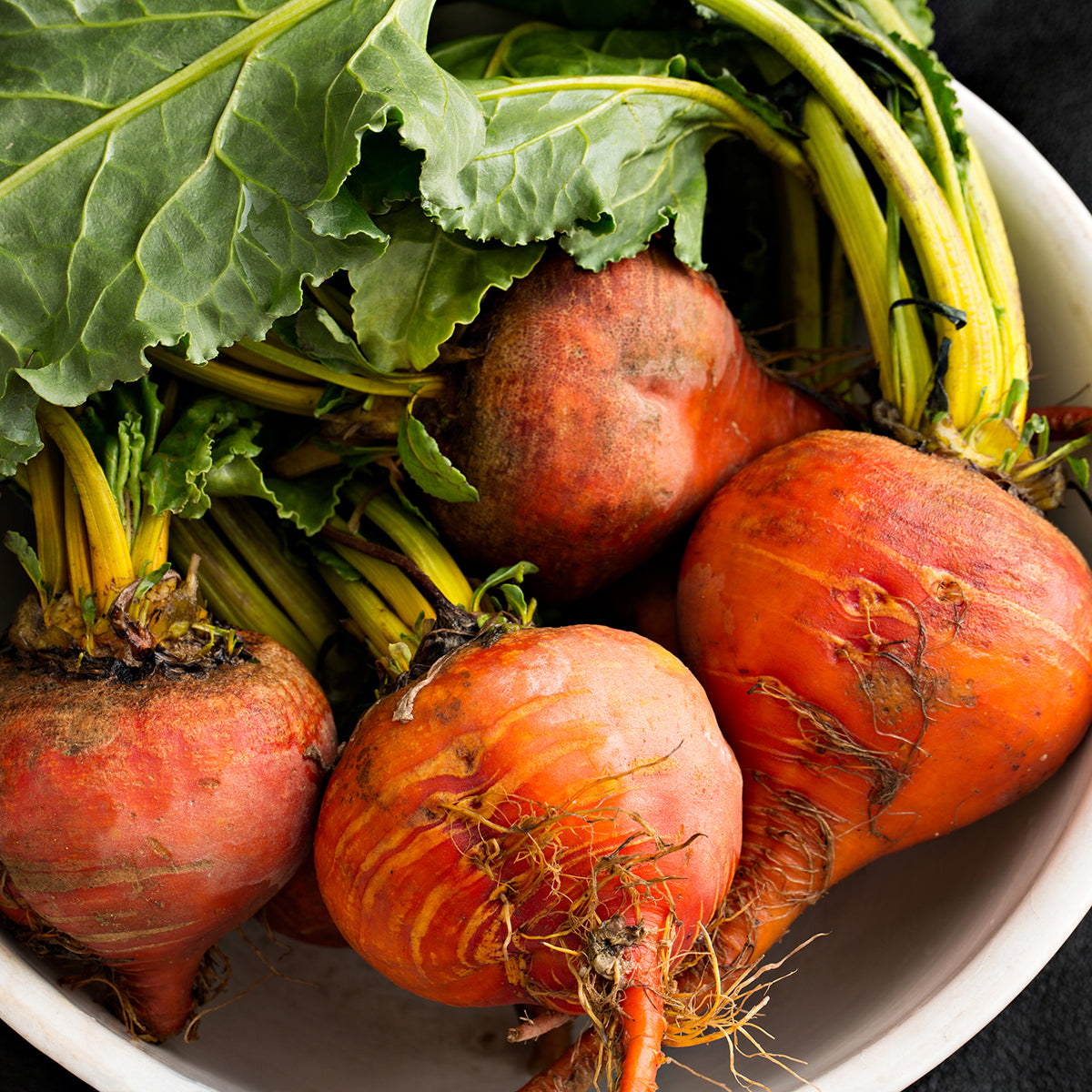 Purely Organic Golden Detroit Beet Seeds - USDA Organic