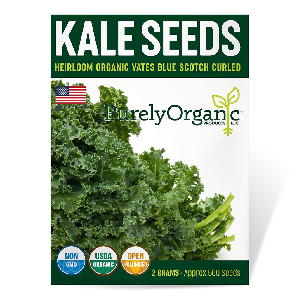 plant kale seeds Purely Organic Heirloom Kale Seeds (Vates Blue Scotch Curled)