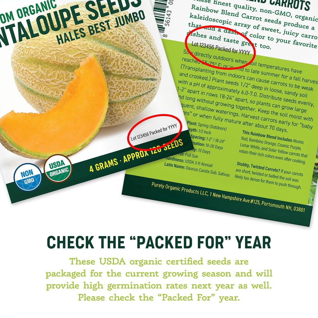 best organic seeds for planting Purely Organic Bunching Evergreen Onion Seeds