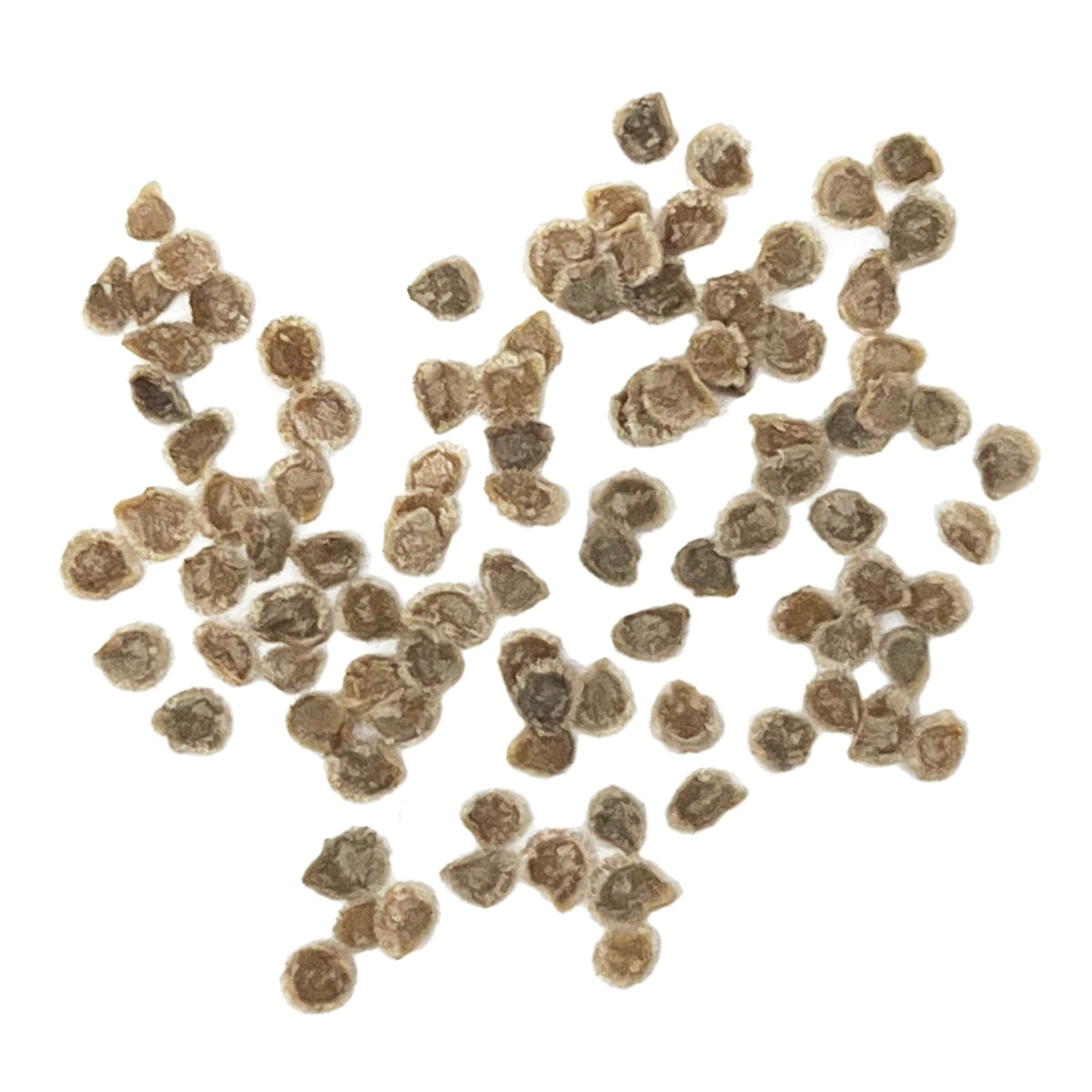A close view of seeds on a white background 
