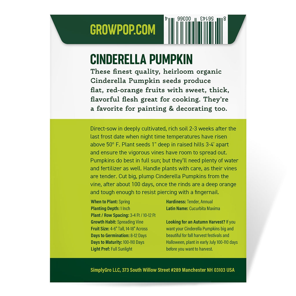 organic pumpkin seeds to plant Purely Organic Cinderella Pumpkin Seeds