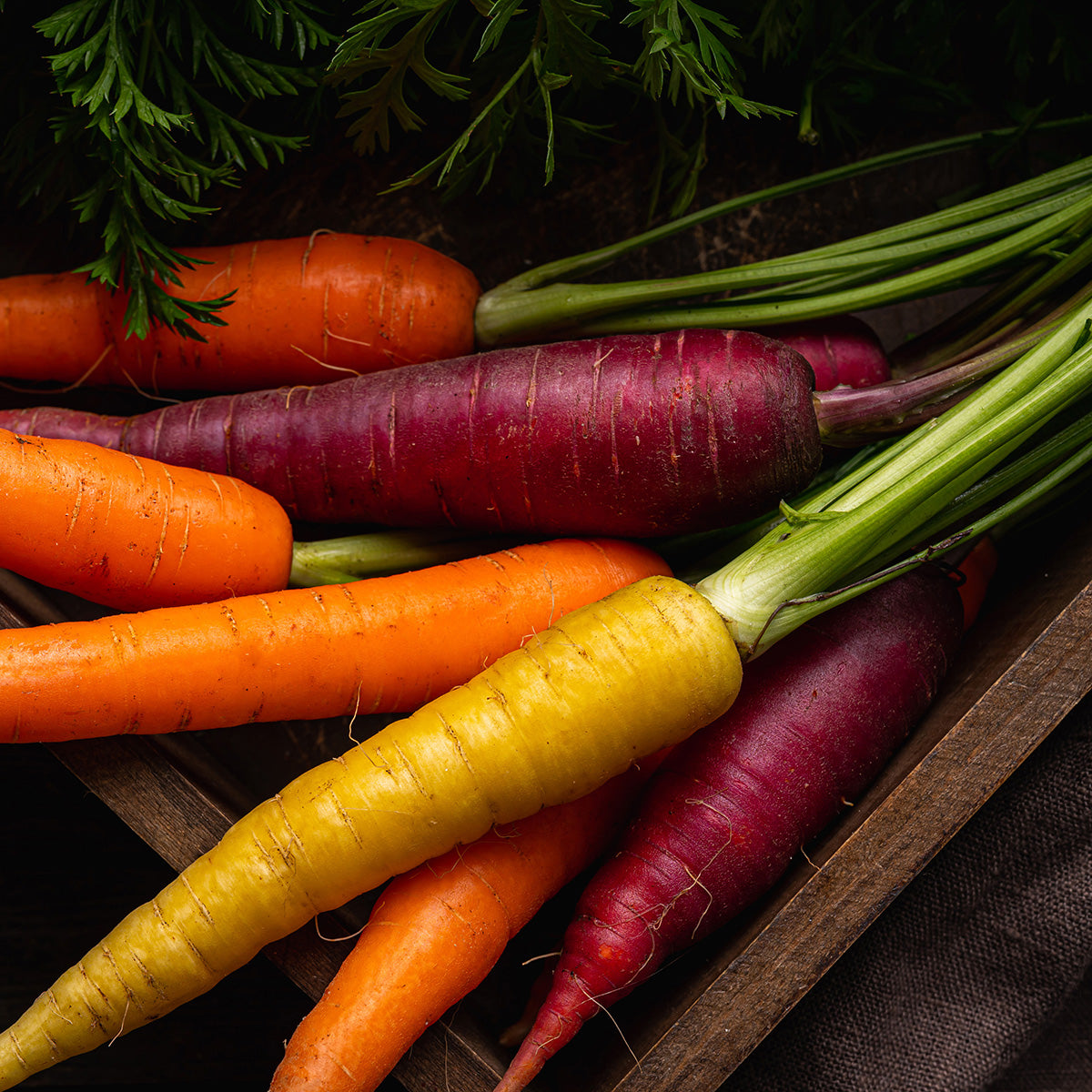 Carrots in a wooden container 
