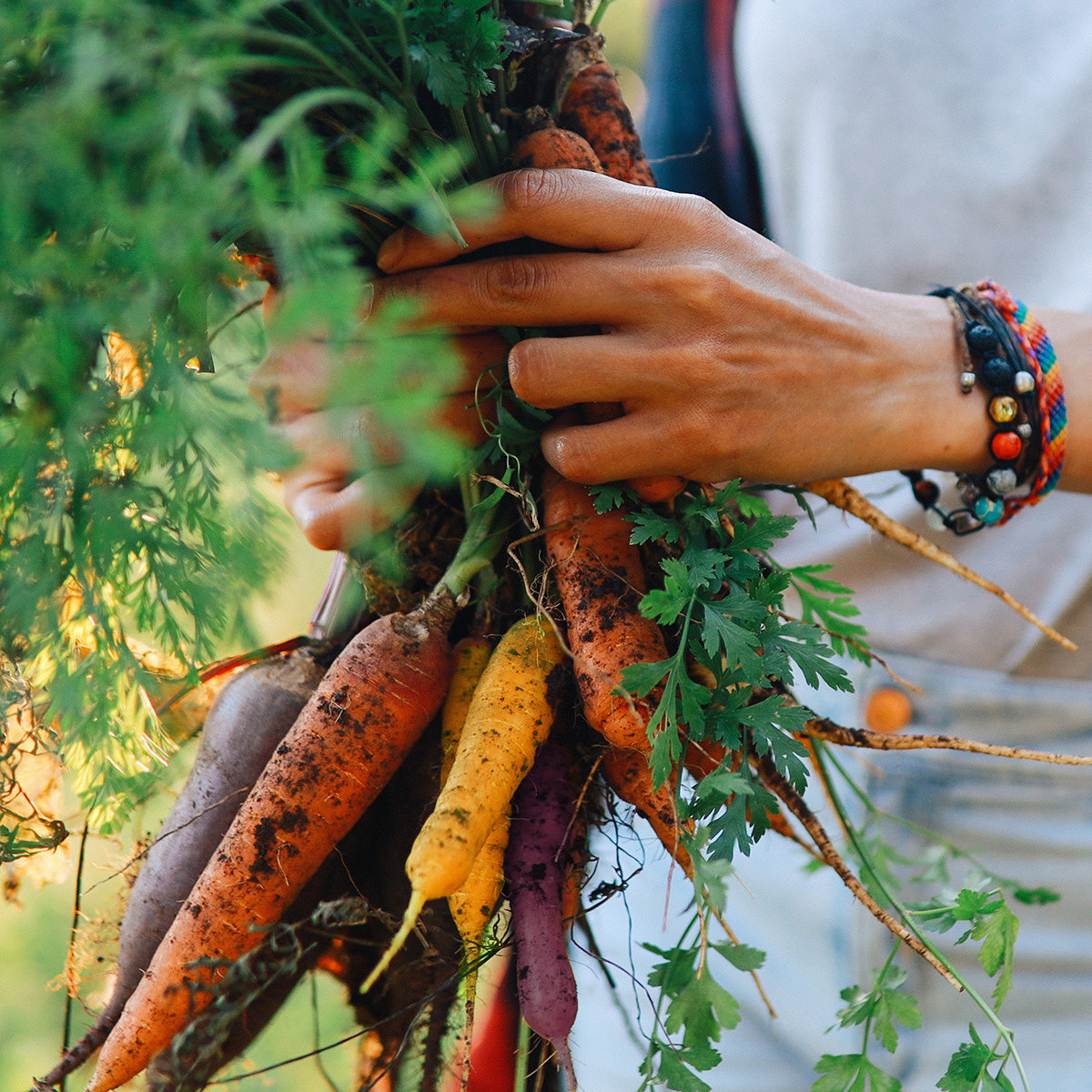 Purely Organic Rainbow Blend Carrot Seeds - USDA Organic