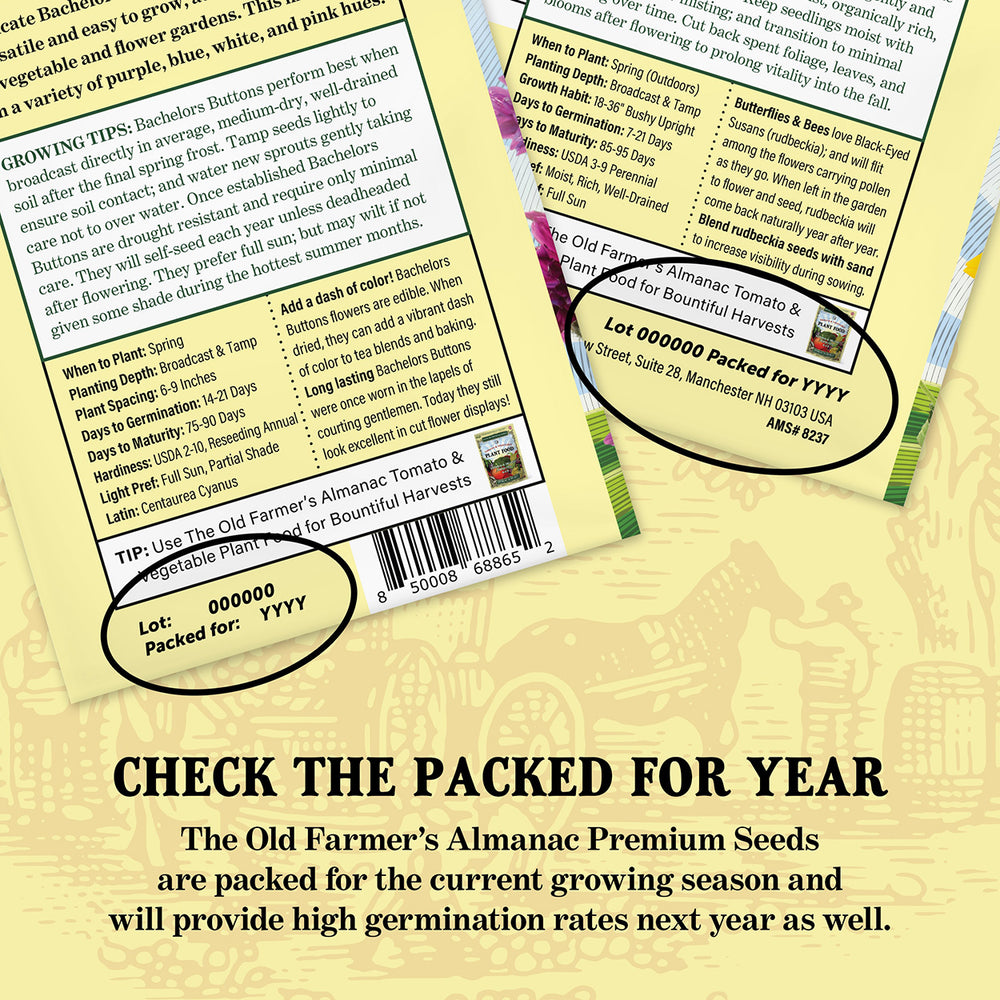 The Old Farmer's Almanac Bachelors Button Seeds - Premium Non-GMO, Open Pollinated, USA Origin, Flower Seeds
