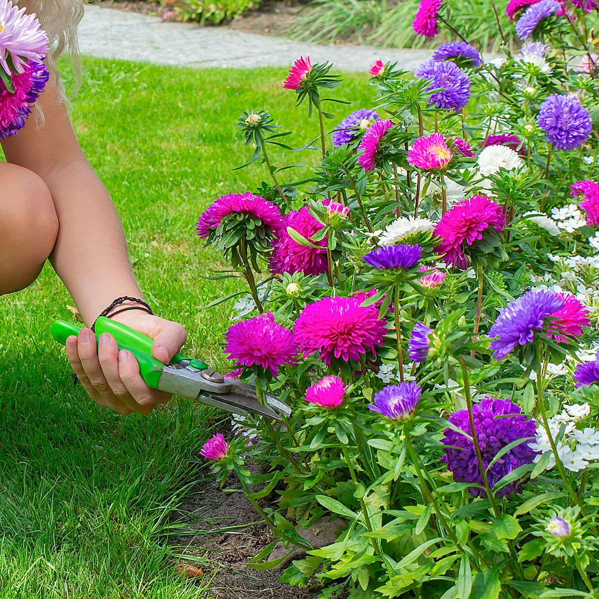 Hands cutting Powerpuff Flowers 