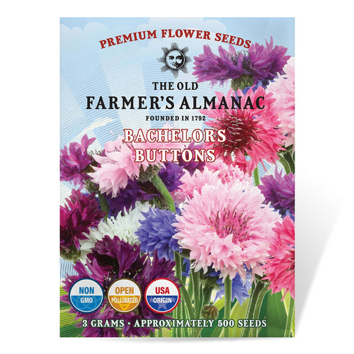 flower farmer seeds The Old Farmer's Almanac Bachelors Button Seeds – SimplyGro
