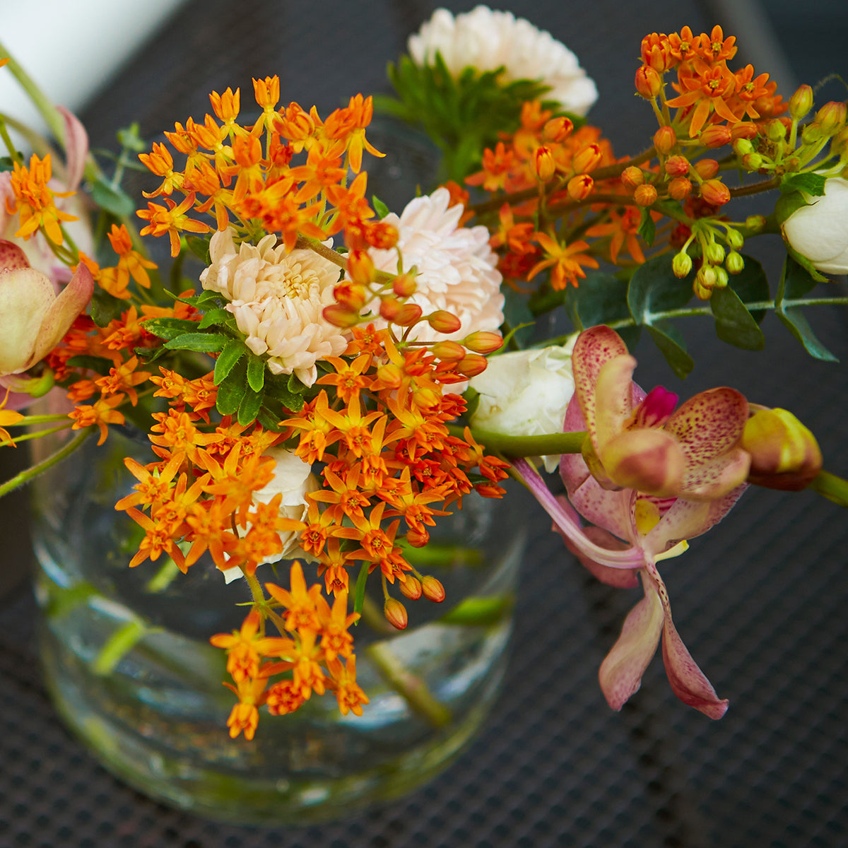 The Old Farmer's Almanac Butterfly Milkweed Seeds
