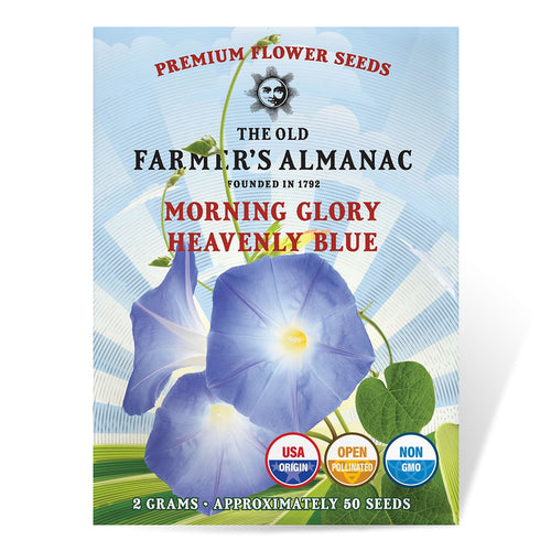 bulk morning glory seeds The Old Farmer's Almanac Premium Morning Glory Seeds (Heavenly Blue)