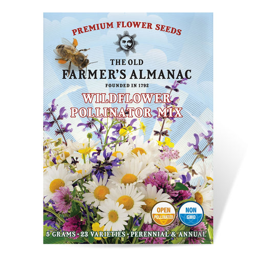 wildflower seeds block of the month The Old Farmer's Almanac Premium Pollinator Mix Wildflower Seeds