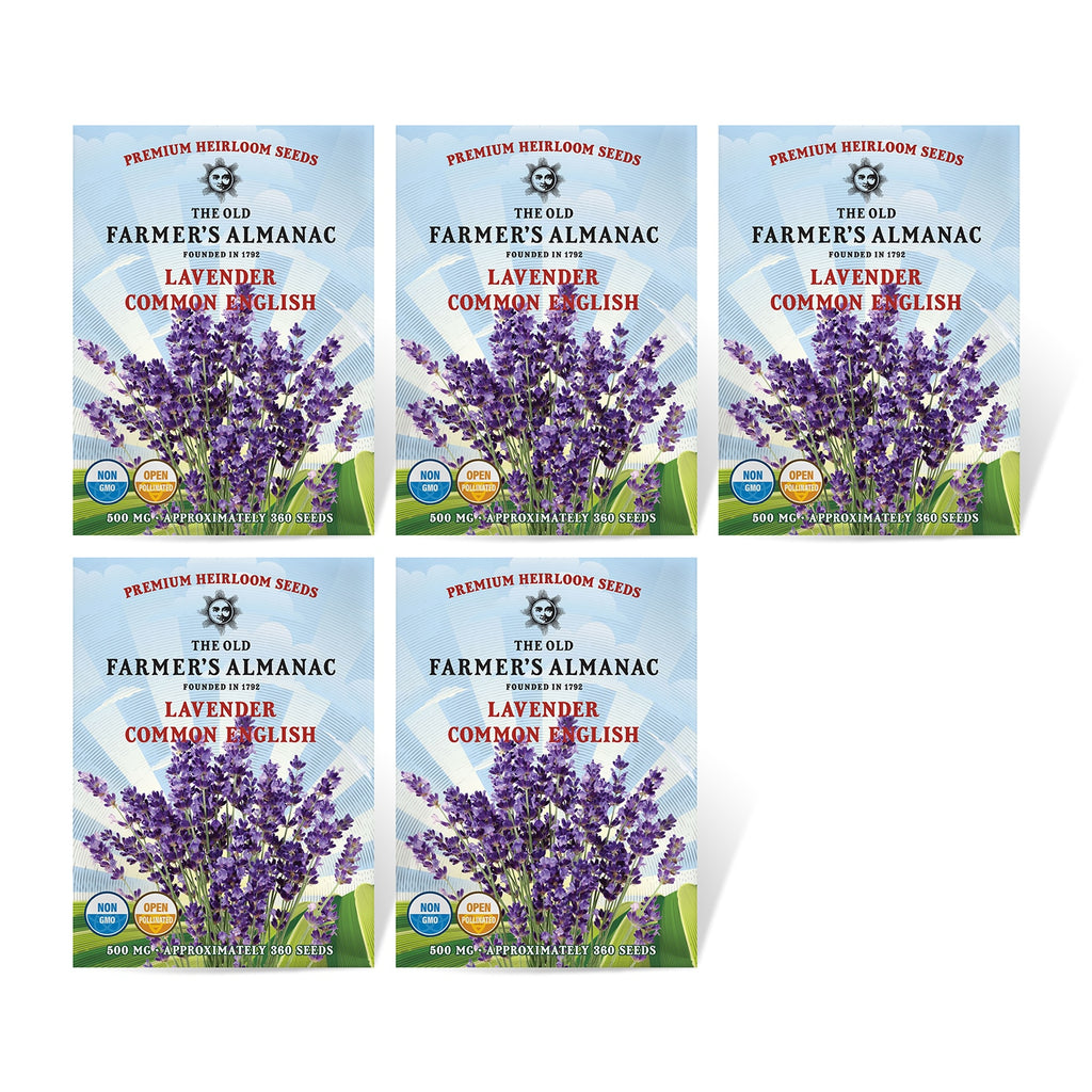 Set of 5 The Old Farmer's Almanac Lavender Seeds