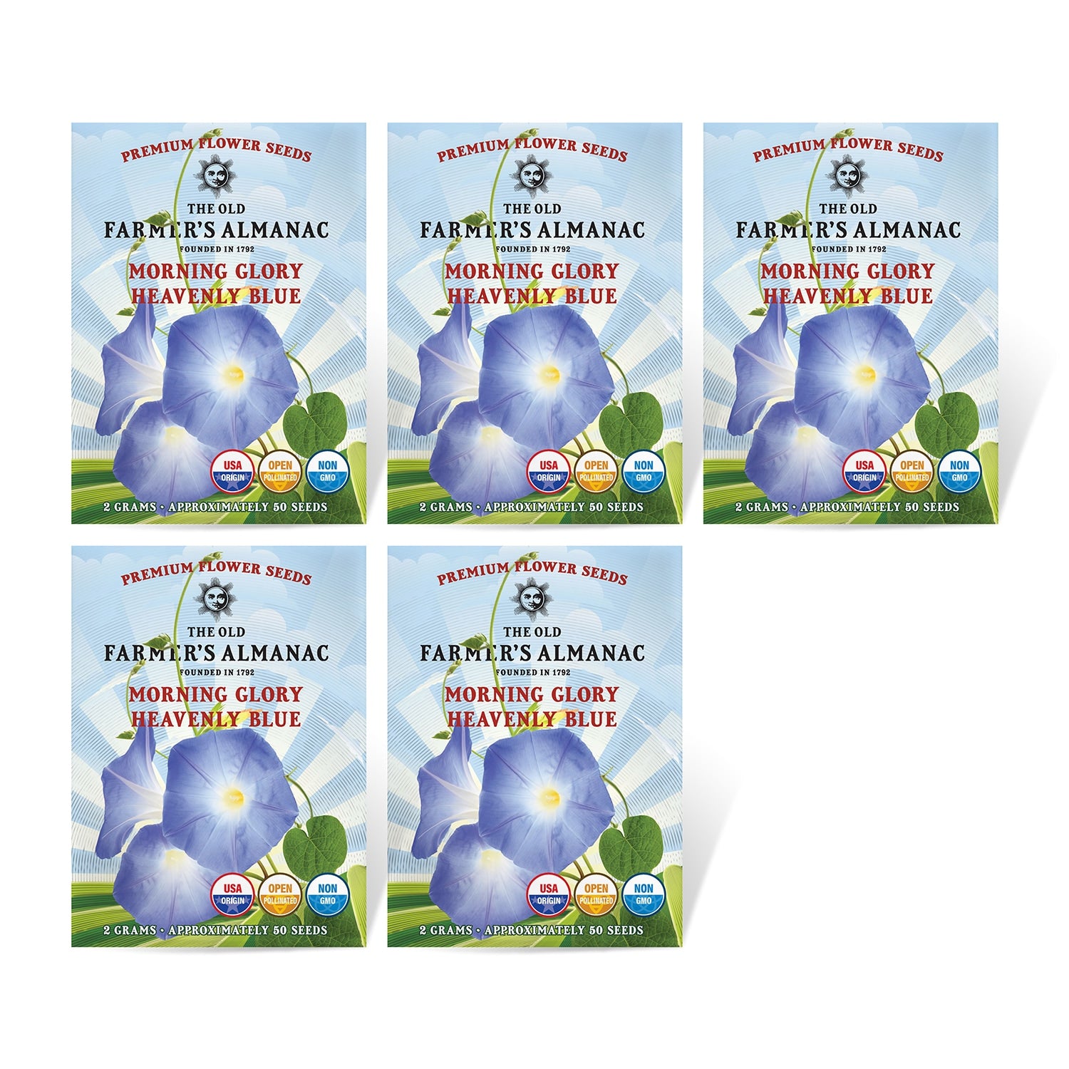bulk morning glory seeds The Old Farmer's Almanac Heavenly Blue Morning Glory Seeds – SimplyGro