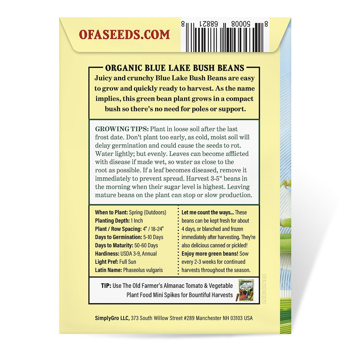 The Old Farmer's Almanac Heirloom Blue Lake Bush Bean Seeds - USDA Organic