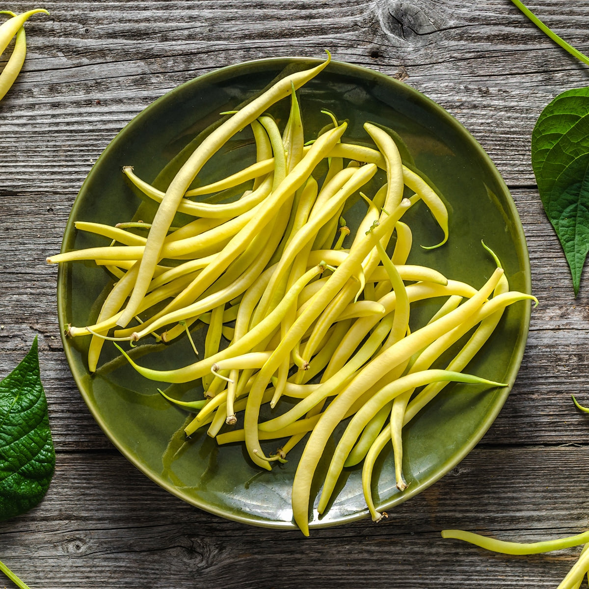 The Old Farmer's Almanac Heirloom Gold Rush Wax Bean Seeds