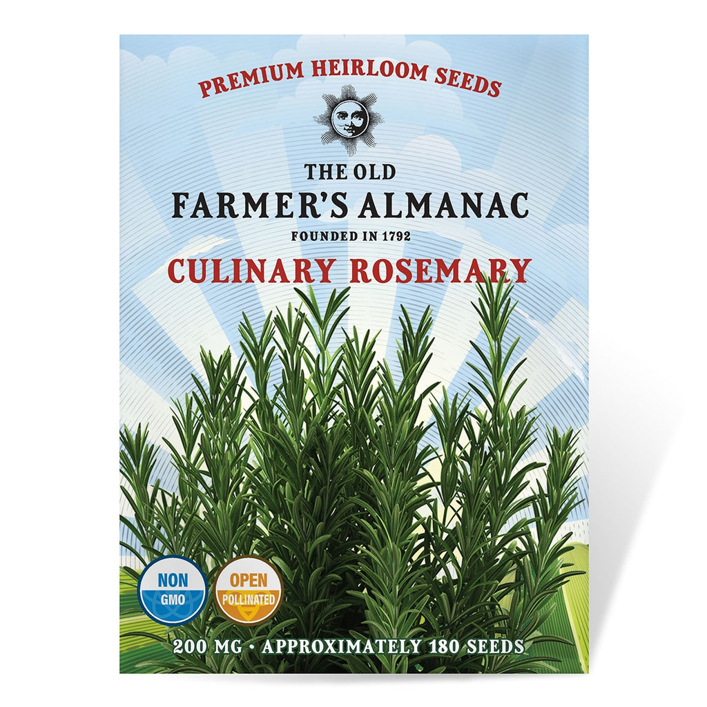 rosemary plant seeds The Old Farmer's Almanac Heirloom Culinary Rosemary Seeds – SimplyGro