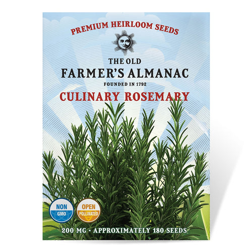 The Old Farmer's Almanac Heirloom Culinary Rosemary Seeds 1 Packet (200 Milligrams