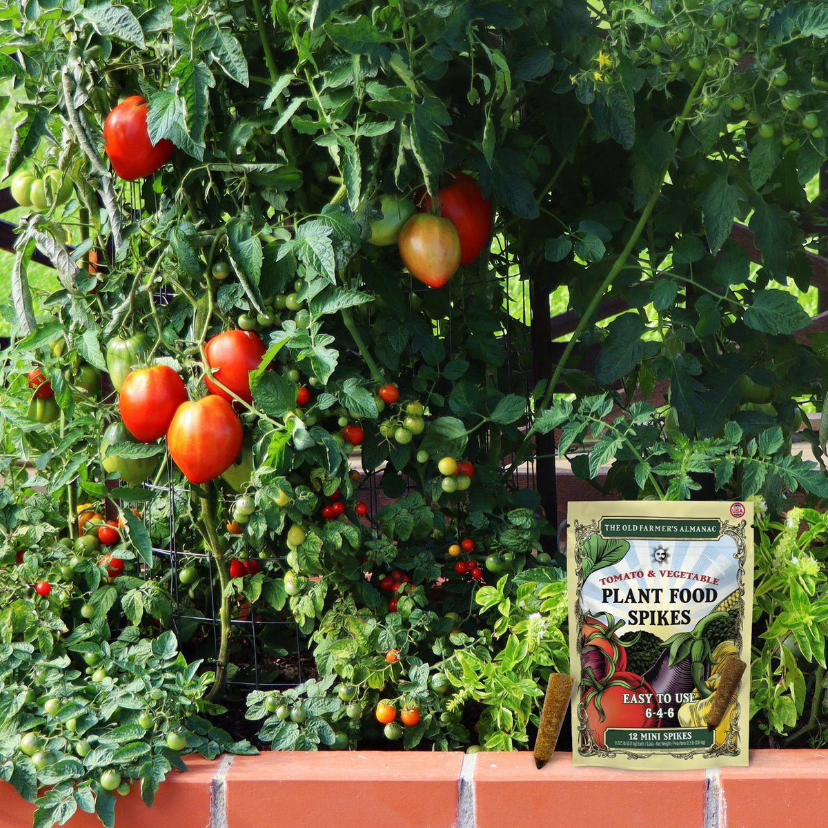 The Old Farmer's Almanac Tomato & Vegetable Plant Food Mini Spikes ...