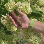 Hand holding Fertilizer Spike