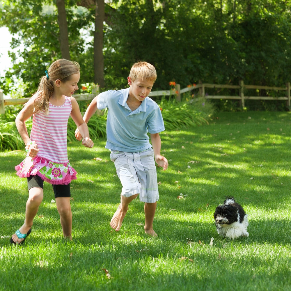 Boy, girl and dog planing on a lawn 