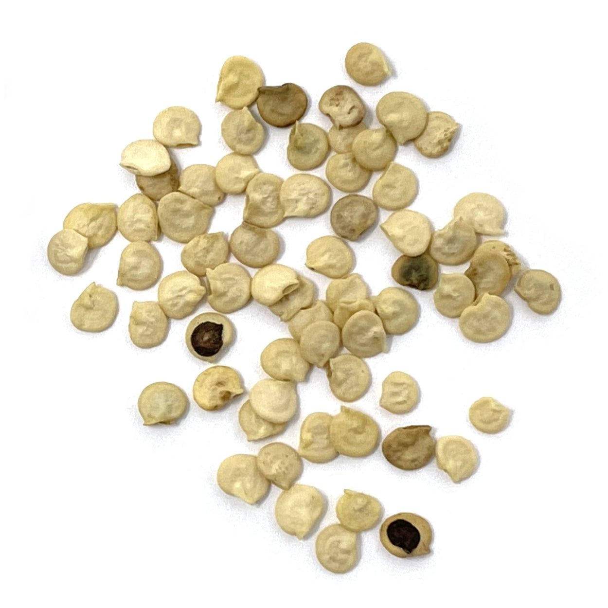 A close view of seeds on a white background 