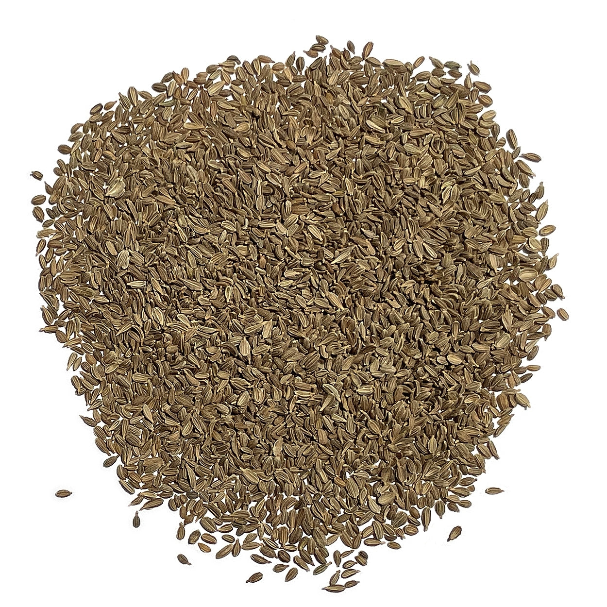 A close view of seeds on a white background 