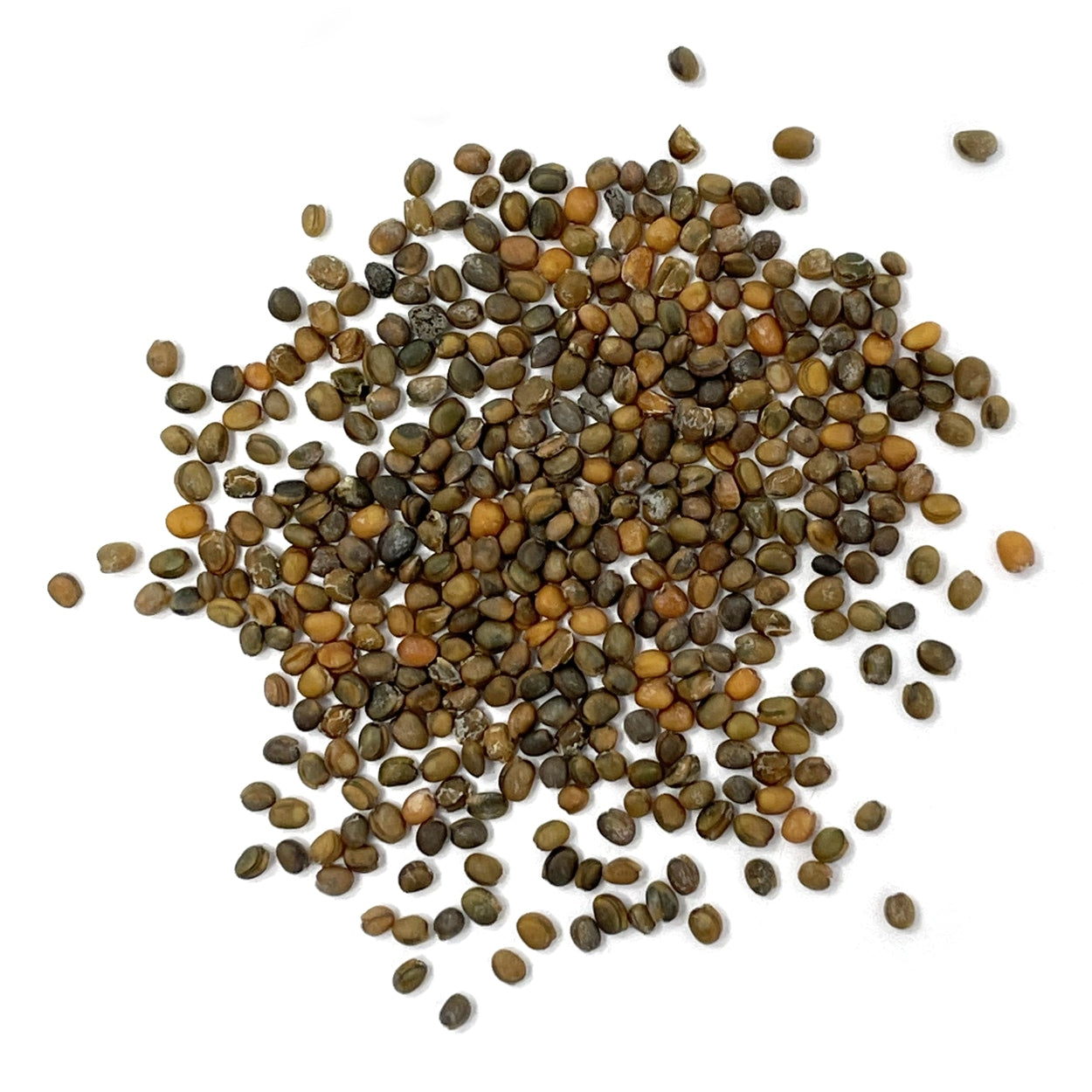 A close view of seeds on a white background 
