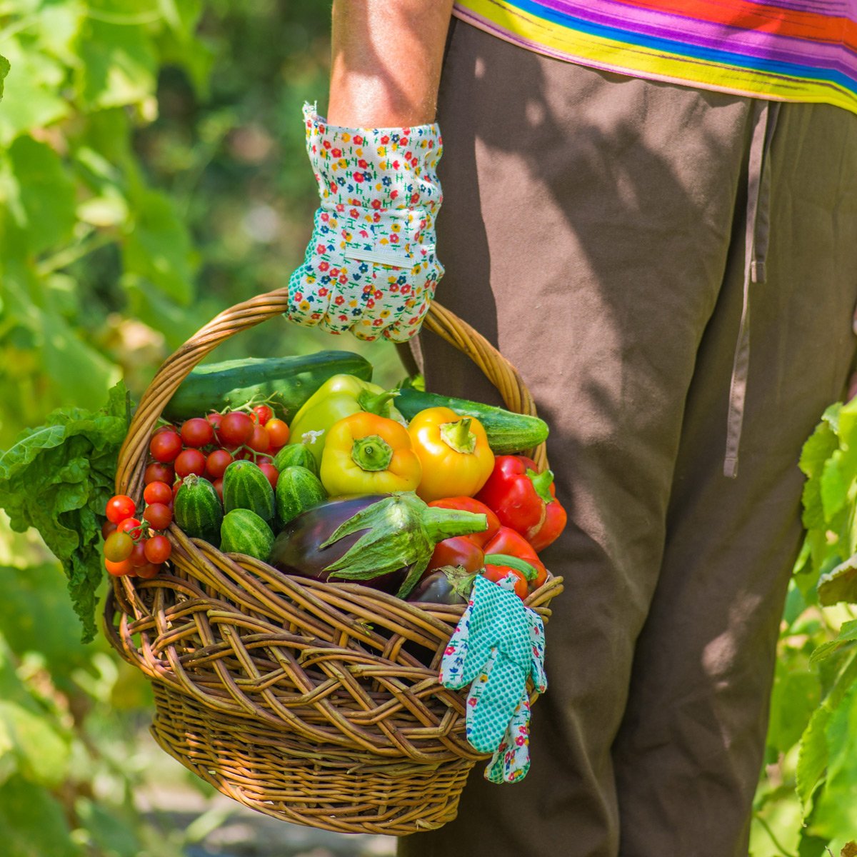 Hand holding a wooden basket with vegetables in it 