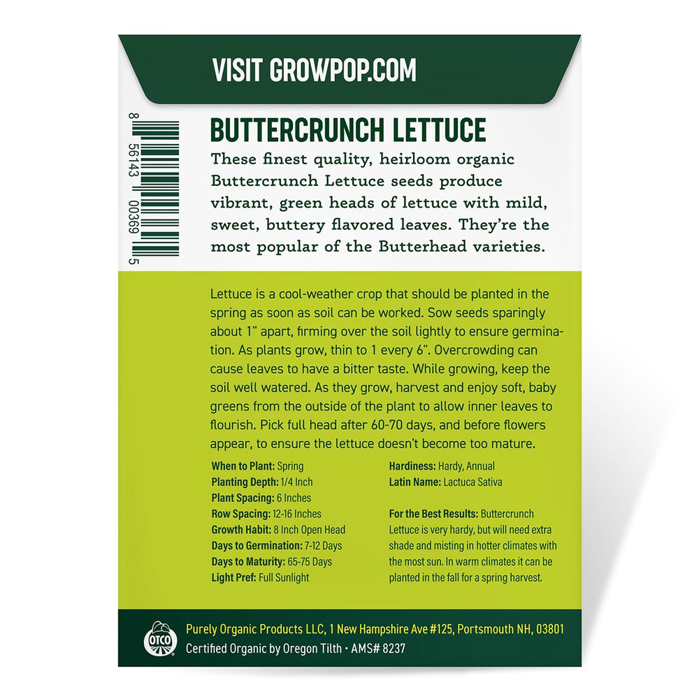 Purely Organic Buttercrunch Lettuce Seeds - USDA Organic, Non-GMO, Open Pollinated, Heirloom, USA Origin, Vegetable Seeds